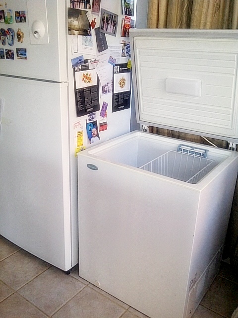 Week 37: Chest&nbsp;Freezer!!