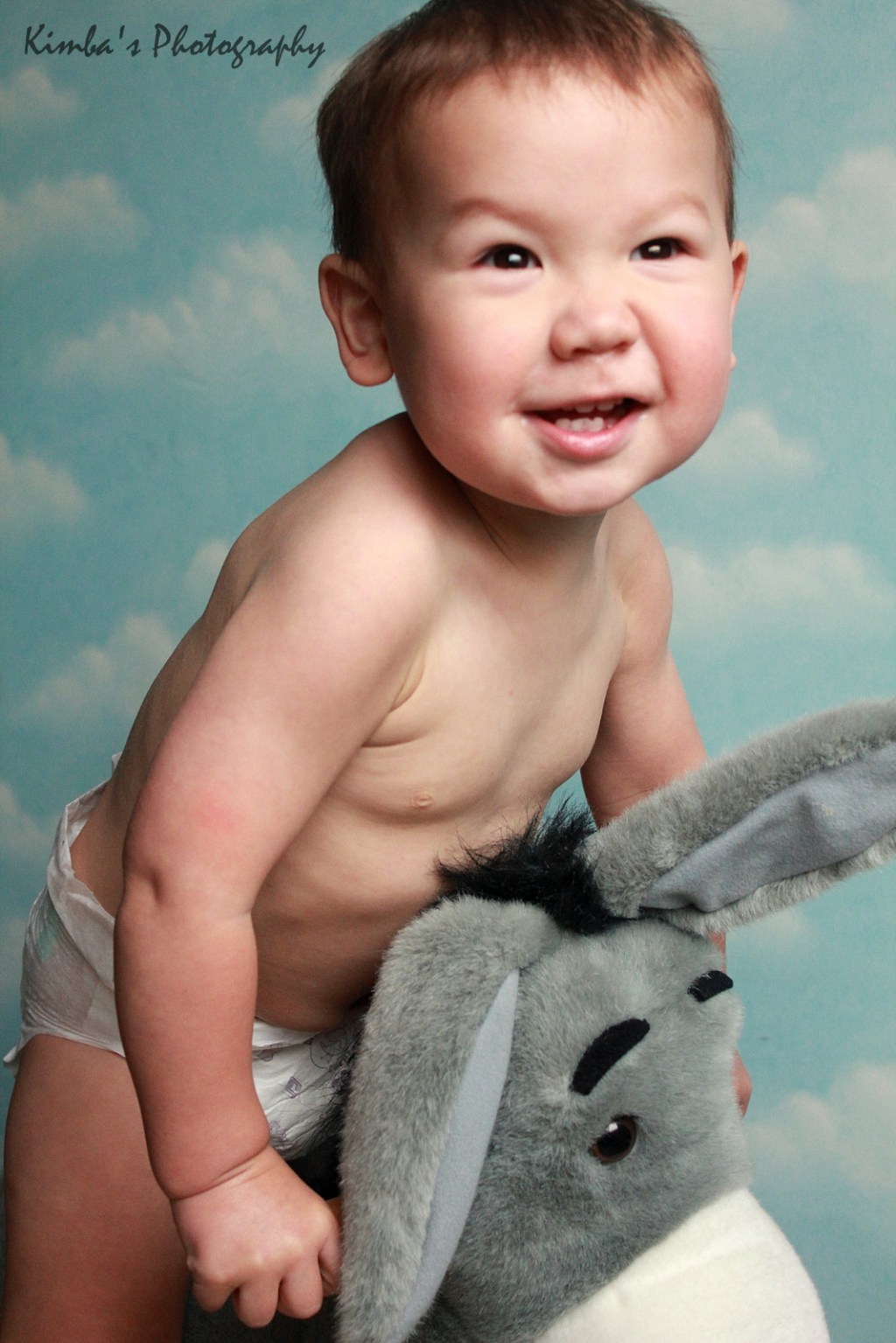 Studio, Clouds, Donkey,&nbsp;Monkey.