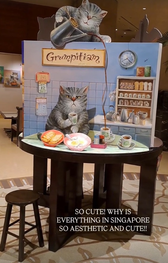 A cat art installation of a grumpy cat at a kopitiam table