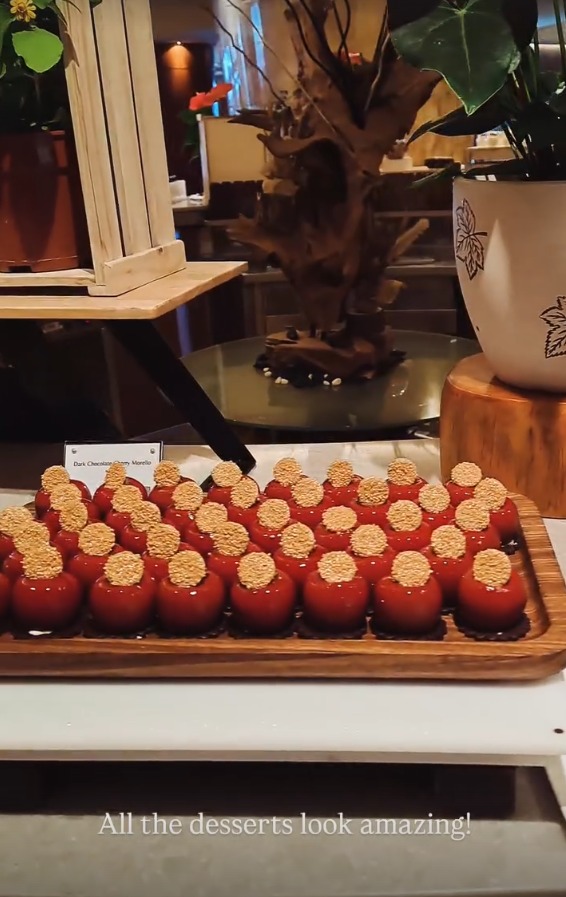 Rows of glossy red dark chocolate cherry desserts